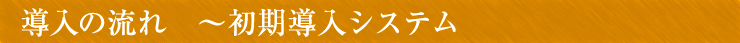 導入の流れ　初期システム